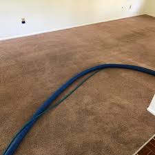carpet cleaning in martin county