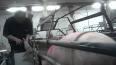 Video for factory farm animal abuse youtube