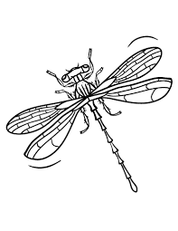 Coloring books for boys and girls of all ages. Free Dragonfly Coloring Page