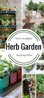 10 Best Herb Garden Ideas 2023 Four