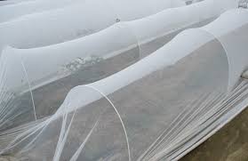 We believe that the best defense is a. Temporary And Permanent Pest Exclusion Systems For Vegetable Production Alabama Cooperative Extension System