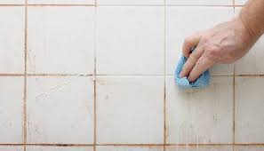 How To Clean Mold In Shower Grout Tips