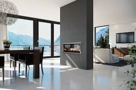 Escea Dx Series Gas Fireplaces