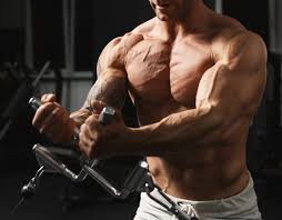5 day dumbbell workout plan for muscle