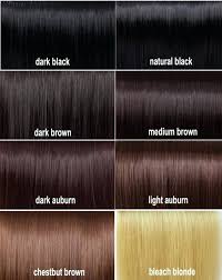 Loreal Permanent Hair Colour Shades Chart Www
