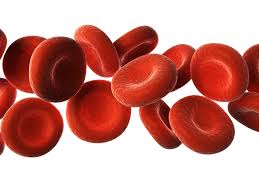 List Of Common Blood Chemistry Tests