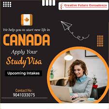 Pin on Canada study visa