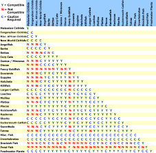 Freshwater Fish Compatibility Chart Www Liveaquaria Com