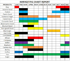 Harvest Chart T P Enterprises