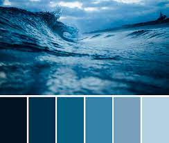 what do you think of pantone s color of
