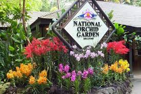 national orchid gardens admission