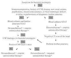 Meningitis Infectious Disease And Antimicrobial Agents
