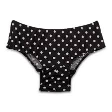 Proptween Period Underwear For Teens Jbl Girl