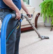 professional carpet cleaning and your