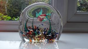 Murano Glass Cenedese Fish Aquarium