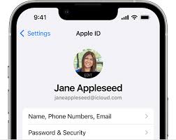 troubleshooting apple id email