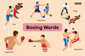 boxing terms for punches with definitions
