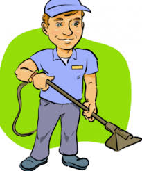 delta carpet cleaners professional