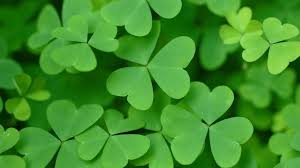 St. Patrick's Day 2023: When Is St. Patrick's Day? Who Was St. Patrick? |  The Old Farmer's Almanac