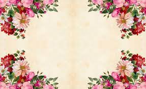 pink flower background free stock