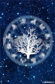 Astrology Chart With All Zodiac Signs And Tree Of Life Buy
