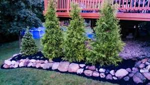 Fast Growing Privacy Trees Tips For
