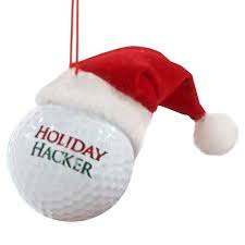 Image result for hacker holiday