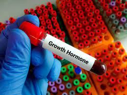 Premium Photo | Blood sample for growth hormone or gh or somatotropin test