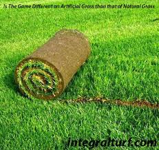 artificial gr irrigation benefits