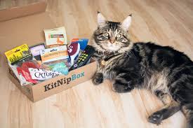 Kitnipbox july 2018 cat subscription box review. 12 Best Monthly Cat Subscription Boxes Urban Tastebud