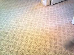 clean advane carpet care reviews