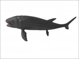 How to protect your boat build and stop the whale by building a whale proof. Fish Leedsichthys Replica Georockshop