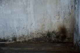 removing black stains on hardwood floor