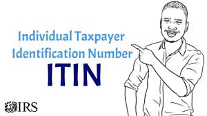 individual taxpayer identification