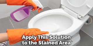Remove Blue Stains From Toilet Seat