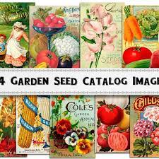Garden Seed Catalog Images Digital
