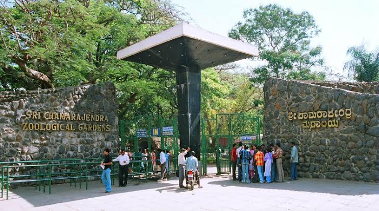 Mysore zoo