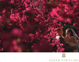 Posed photography, including wedding, family, or senior photos, is allowed by permit in designated photography sites throughout munsinger gardens. Location Recommendations New York