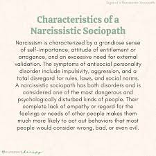 what is a narcissistic sociopath 10