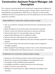 construction istant project manager