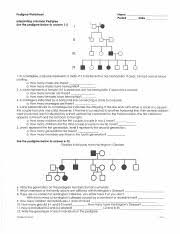 Pedigree charts worksheet worksheet fun and printable, answer key, muscular dystrophy pedigree chart, muscular dystrophy pedigree chart, 21b pedigree worksheet 1. Bio Worksheet Pedigree Worksheet Name Period Date Interpreting A Human Pedigree Use The Pedigree Below To Answer 1 5 Ii Iii I In A Pedigree A Square Course Hero