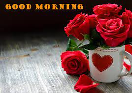 good morning red rose hd wallpapers