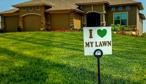 Lawncare and landscape lawn care treatment services near me. Ways Organic Lawn Care Services Benefits You And Your Family