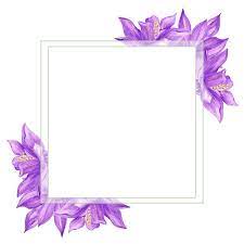purple frame images free on