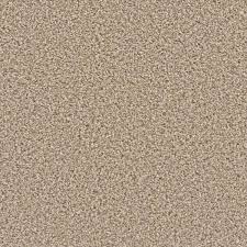 texture carpet sle delight ii