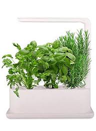 Intelligent Plant Desktop Grow Box