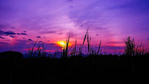 Purple sunset wallpapers we have about (255) wallpapers in (1/9) pages. Hd Wallpaper Grass Sky Purple Sunset Wallpaper Flare