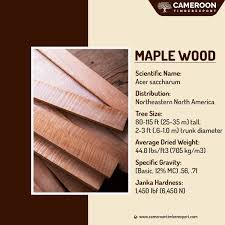 premium maple wood at
