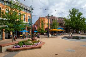 amazing things to do in fort collins