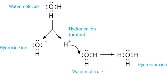 Is Ph The Measurement Of Hydrogen Ion Concentration Or Ion Activity